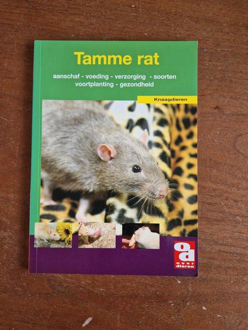 De tamme rat, Boeken, Dieren en Huisdieren, Zo goed als nieuw, Ophalen of Verzenden