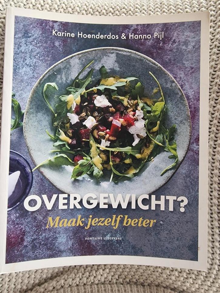 Karine Hoenderdos - Overgewicht? Maak jezelf beter!, Boeken, Gezondheid, Dieet en Voeding, Zo goed als nieuw, Ophalen of Verzenden