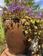 Vintage unieke sterke terracotta potten bruin diverse maten, 25 tot 40 cm, Zo goed als nieuw, Minder dan 40 cm, Overige vormen