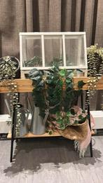 Ikea plantenstandaard Vaniljstang, Huis en Inrichting, Ophalen, 50 tot 100 cm, Rond, Zo goed als nieuw