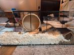 Hamsterkooi zonder inhoud! Zsm weg, Kooi, Gebruikt, Hamster, 75 tot 110 cm