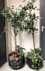 2 Kunstplanten, Ophalen, Gebruikt