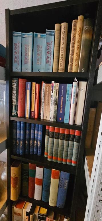 Grote partij boeken - Bananendozen vol! beschikbaar voor biedingen