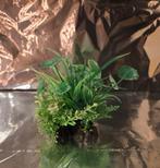 Aquarium plantje, Dieren en Toebehoren, Vissen | Aquaria en Toebehoren, Ophalen, Zo goed als nieuw, Leeg aquarium