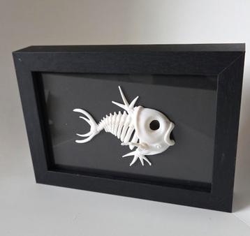 Magikarp pokemon skelet in zwarte frame beschikbaar voor biedingen