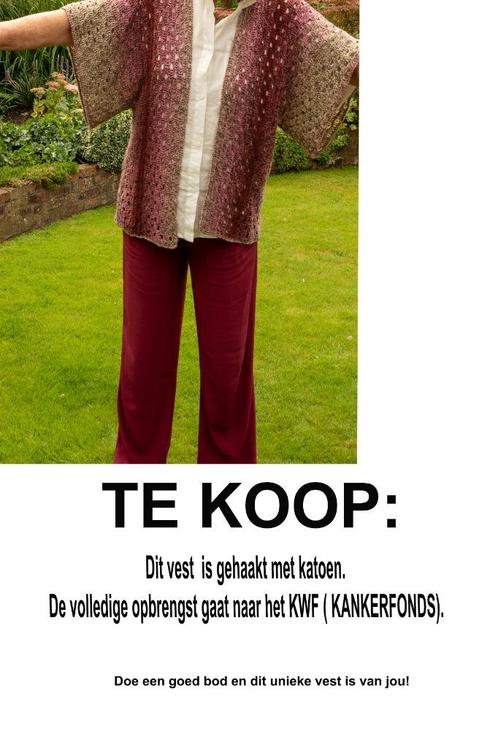 te koop: vestje met korte mouwen, Kleding | Dames, Truien en Vesten, Zo goed als nieuw, Maat 38/40 (M), Overige kleuren, Ophalen of Verzenden