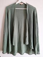 Mooi gebreid metallic vest La Fée Maraboutée maat 3, Maat 38/40 (M), La Fee Maraboutee, Ophalen of Verzenden, Zo goed als nieuw