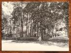 Hilversum Trompenberg (reprint), Ophalen of Verzenden, Voor 1920, Noord-Brabant