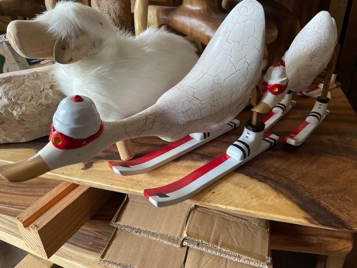 Feijenoord eenden ski Suar teakhout, Hobby en Vrije tijd, Feestartikelen | Verhuur, Nieuw, Overige, Ophalen