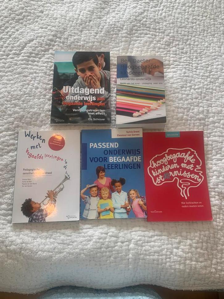 Sylvia Drent - Passend onderwijs voor begaafde leerlingen, Boeken, Schoolboeken, Zo goed als nieuw, Nederlands, Overige niveaus