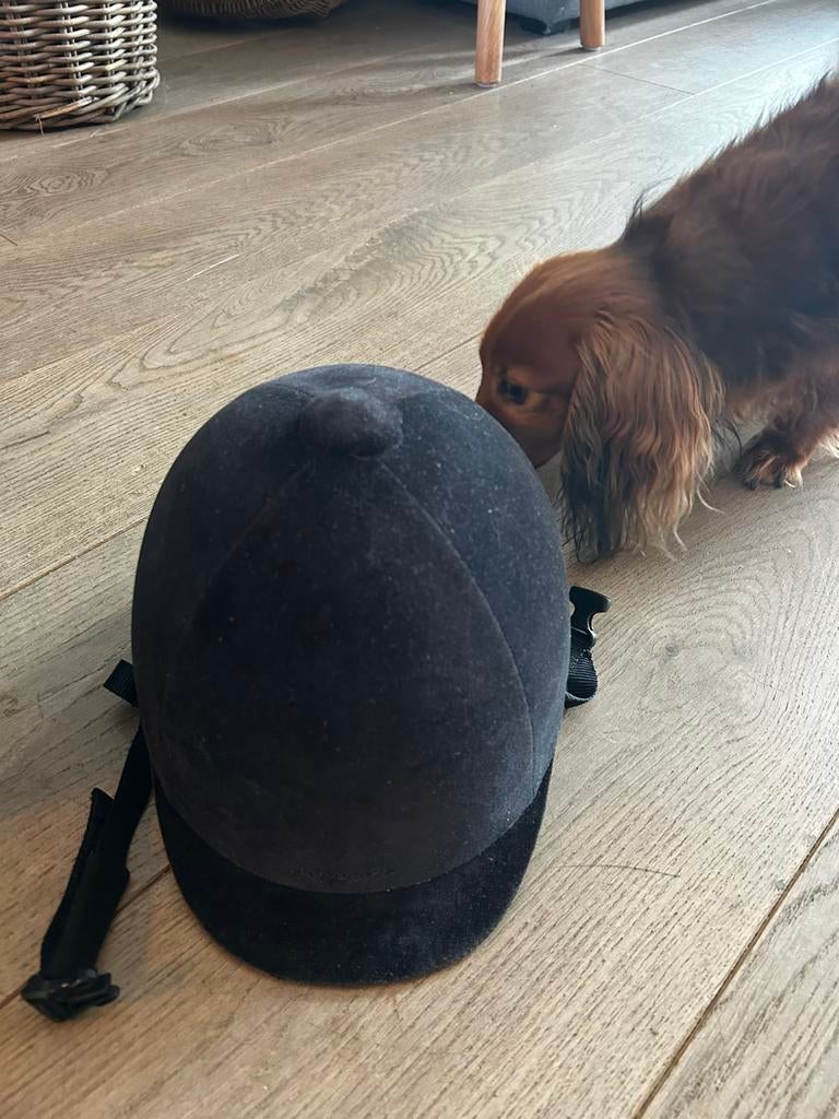 Zwart fluwelen paardrijcap Decathlon kindermaat 53, Gebruikt, Kinderen, Dressuur, Ophalen of Verzenden