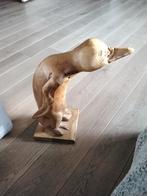 Houten pinguin  Beeld 50x40 ongeveer., Antiek en Kunst, Kunst | Beelden en Houtsnijwerken, Ophalen of Verzenden