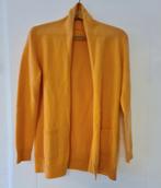 Peter Hahn 100% merinowol vest licht oranje maat 40 nieuwst., Ophalen of Verzenden, Zo goed als nieuw, Maat 38/40 (M), Oranje