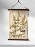 Wanddoek met varens op linnen | Oude schoolplaat botanisch, Huis en Inrichting, Schilderij, Ophalen of Verzenden
