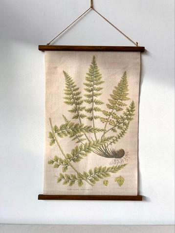 Wanddoek met varens op linnen | Oude schoolplaat botanisch