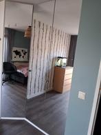 Spiegeldeuren 2x  Vikedal van IKEA met scharnieren 50x229, Huis en Inrichting, Kasten | Kledingkasten, Ophalen of Verzenden, Minder dan 25 cm