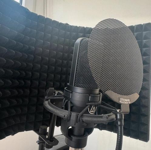 Audio Technica AT4040, Muziek en Instrumenten, Microfoons, Zo goed als nieuw, Studiomicrofoon, Ophalen of Verzenden