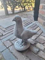 Betonbeeld Duif, Ophalen, Nieuw, Beton, Dierenbeeld