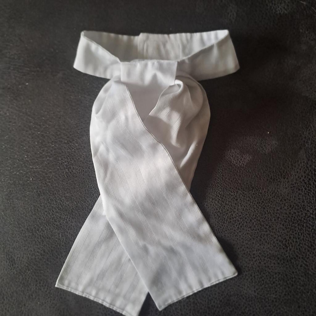 Plastron, Dieren en Toebehoren, Ophalen of Verzenden, Zo goed als nieuw, Dressuur