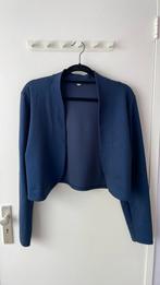 Bolero jasje vestje blauw met subtiele glitter. Maat 48, Blauw, Ophalen of Verzenden, Zo goed als nieuw, Maat 46/48 (XL) of groter