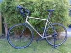 LiteSpeed Xicon XL Racefiets  Campagnolo, 28 inch, Gebruikt, 57 tot 61 cm, Meer dan 20 versnellingen