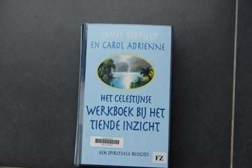 Het Celestijnse Werkboek bij het Tiende Inzicht., Boeken, Esoterie en Spiritualiteit, Zo goed als nieuw, Instructieboek, Spiritualiteit algemeen