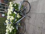 Opknap fiets Giant Centro, Ophalen, Gebruikt, Giant, Versnellingen