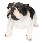 Bulldog beeld, beeldje Engelse Bulldog, beeld Franse Bulldog, Ophalen of Verzenden, Nieuw