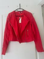 Zomerse rode linnen jas jasje in stoer biker jack model mt S, Ophalen, Nieuw, Laura Jo, Maat 36 (S)