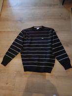 Mooie Lacoste trui maat 7  50% wol  retro, Verzenden, Zo goed als nieuw, Maat 48/50 (M)