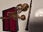 Mini muziekinstrumenten, Ophalen of Verzenden, Zo goed als nieuw