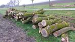 Inkoop Rondhout, Boomstammen, Stamhout, Brandhout, Zaaghout, Tuin en Terras, Haardhout, Ophalen, Overige houtsoorten, Stammen