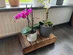 Fruitkistjes veilingkisten plantenbak bijzettafel, Tuin en Terras, Verzenden, Hout, Minder dan 60 cm, Tuin