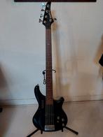 Washburn 5 string bass, Ophalen, Gebruikt