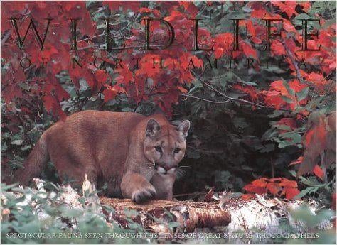 Wildlife of north america Thomas A Lewis, Ophalen of Verzenden, Zo goed als nieuw, Natuur algemeen
