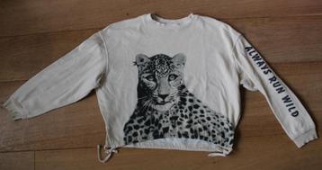 Sweater van H&M 146/152 beschikbaar voor biedingen