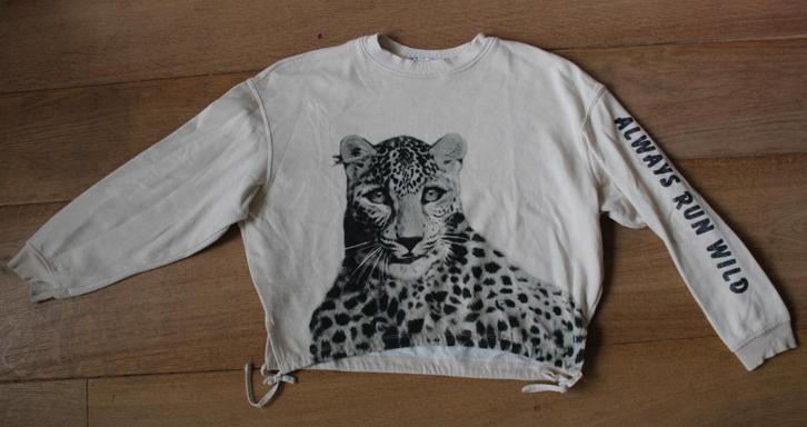 Sweater van H&M 146/152, Kinderen en Baby's, Kinderkleding | Maat 146, Gebruikt, Meisje, Trui of Vest, Ophalen of Verzenden