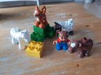 Lego Duplo 5646 - Dierenverzorging, Ophalen of Verzenden, Gebruikt, Complete set, Duplo