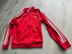 Adidas vest, Ophalen of Verzenden, Zo goed als nieuw, Maat 42/44 (L), Overige typen