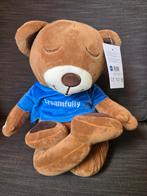 dreamfully meddybear nieuw, Ophalen of Verzenden