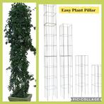 Klimplant rekken plantrek tuinrekken klimplanten clematis, Tuin en Terras, Ophalen of Verzenden, Zomer, Vaste plant, Overige soorten