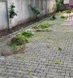 Tuin schoonmaken, Tuin en Terras, Tegels en Klinkers, Ophalen of Verzenden, Beton, Terrastegels