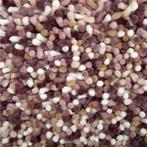 Vloerkleden Brinker outlet, Ophalen, Overige kleuren, Rechthoekig, Nieuw