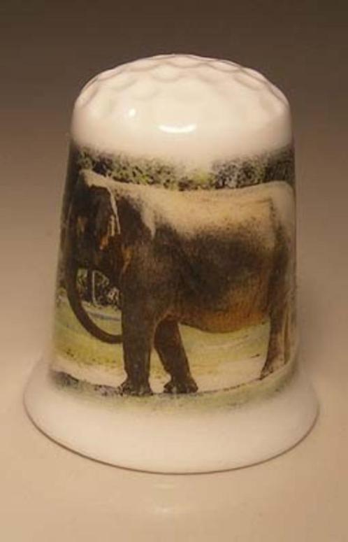 Olifant foto vingerhoedje, Verzamelen, Vingerhoedjes, Nieuw, Nederland, Porselein, Ophalen of Verzenden