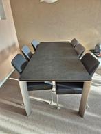 Bert Plantagie Eetkamerset met 6 Stoelen, Huis en Inrichting, Complete eetkamers, Ophalen, Zo goed als nieuw, Modern, 6 tot 8 stoelen