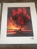 Lithograph Howard Ashton Awakenings, Antiek en Kunst, Ophalen of Verzenden