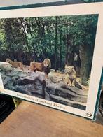 Ouwehands dieren park, Ophalen of Verzenden, Natuur en Biologie