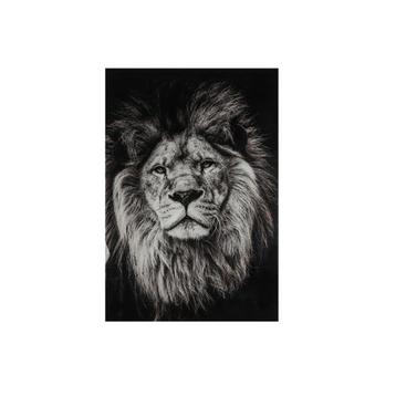 Glasschilderij Lion - zwart / wit - Leeuw