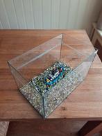 Aquarium 25cm bij  25cm bij  40cm, Ophalen, Zo goed als nieuw, Leeg aquarium