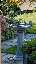 Vogeldrinkbak 6 liter 50kg Drinkbak Insectendrinkbak Vogel, Ophalen of Verzenden, Nieuw, Beton, Overige typen